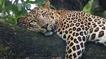 3 Days Masai Mara Group Tour 