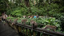 Bali: Private Ubud Tour with Palace, Rice Terraces & Waterfall