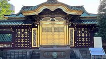 Private tour in Tokyo (Ueno, downtown...) with a Local Guide