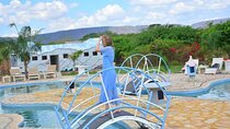 The Most Affordable 2-Day Tanzania Safari: Top safari in Tanzania
