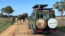 1 Day Safari to Mikumi NP from Dar es Salaam by Electric Train