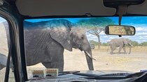 5-Day Private Safari in Northern Tanzania, Departure from Arusha 