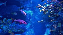 Sumida Aquarium Ticket Tokyo