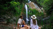 Daintree Sensations 