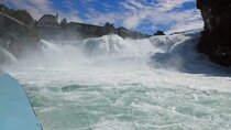 Rhine Falls and Black Forest Germany Sightseeing Tour Private
