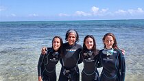 Scuba Diving for Beginners – Playa del Carmen or Tulum