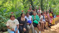 Stone Town and Spice Tour with Lunch