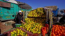 Discover traditional weekly market at the outskirts of Marrakesh