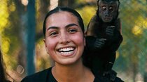 Private Expedition to Cobá Ruins and Monkeys Jungle Reserve