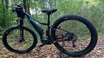 Kyoto E-Bike Rent (Powerful & Long model)