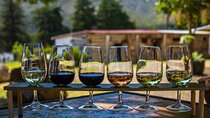 Waipara Wine Trail Private Group Tour From Christchurch