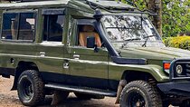 The Most Affordable 4 Days Tanzania Budget Lodge Group Safari