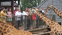 Nairobi Giraffe Center Guided Day Tour
