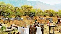 The Most Affordable 4-Day Tanzania Budget Camping Safari 