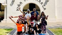 1 Day Tour of Isla Negra Algarrobo and Viña Undurraga from Santiago