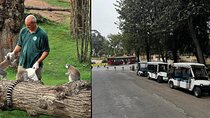 Rome: Entrance ticket Zoo + Golf Cart tour of Villa Borghese
