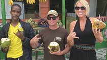 Private Montego Bay Customized Tour with pickup & Bamboo Rafting 