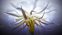 Photography workshop in Sydney — Learn to shoot in Manual Mode