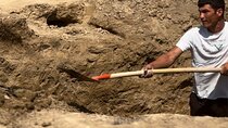 14 Day Silk Road Archeology Immersive Tour