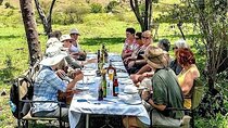 Top 3-Day Tanzania Safari – The Perfect Short safari in Tanzania