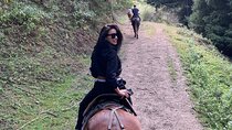 From Bishkek Horse Riding in Arashan Mountains