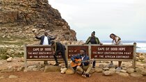 Private sightseeing Tour: Cape of Good hope & Boulders penguins