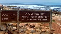 Full Day Cape Peninsula, Bo Kaap & Penguins Small Group Tour