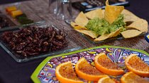 Tequila Tasting & Cocktail Workshop at Tequila Lighthouse - Cabo 