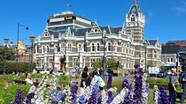 Dunedin and Otago Peninsula Tours For Up To 4 people