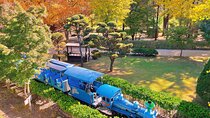 Nami Island, Rail bike & The Alpaca Garden