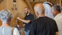 From Florence Brunello di Montalcino Wine Tour with Lunch