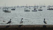 Mumbai: A Symphony of Seven Islands - Get Local in 1 Day