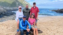 1 Day Garden Route Tour to Tsitsikamma from Port Elizabeth 