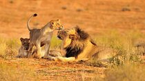 10 Days Tanzania Experience by Jeep