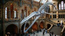 London: Natural History Museum Audio Tour and Free Entry Ticket