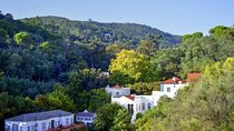  Monchique: A mountain range that challenges the senses