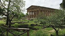 Private Tour Paestum And Fattoria Mozzarella With Guide And Driver