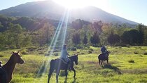 Pompeii Tour & Horseback Riding & Lunch with Wine Tasting