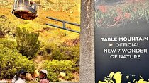 Table Mountain, Bo Kaap, Penguins & Cape Point Small Group Tour