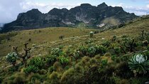 Overnight Safari To Aberdare National Park From Nairobi