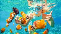 Bali Snorkeling Blue Lagoon 2 spot with Lunch & Transport