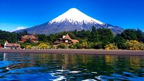 Luxury Mt. Fuji Guided Customize Private One Day Tour 