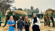 Taj Mahal & Wildlife SOS Elephant Sanctuary Tour from Delhi/Agra