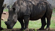 Budget Safari From Durban