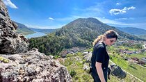 Wachau Vineyard Walk