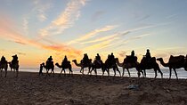 Half-Day Quad Bike and Camel Ride Adventure With BBQ