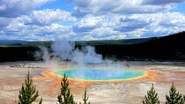 Yellowstone Full Day Private Tour