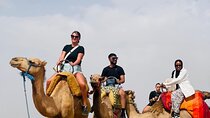  Camel Ride in the Agafay Desert, Dinner and Fire Show