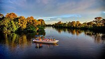 Klias Mangrove Wildlife and Fireflies