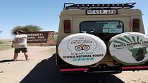 Top Best 4-day Serengeti safari in Tanzania: Best Safari Package